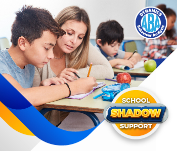 School Shadow Support